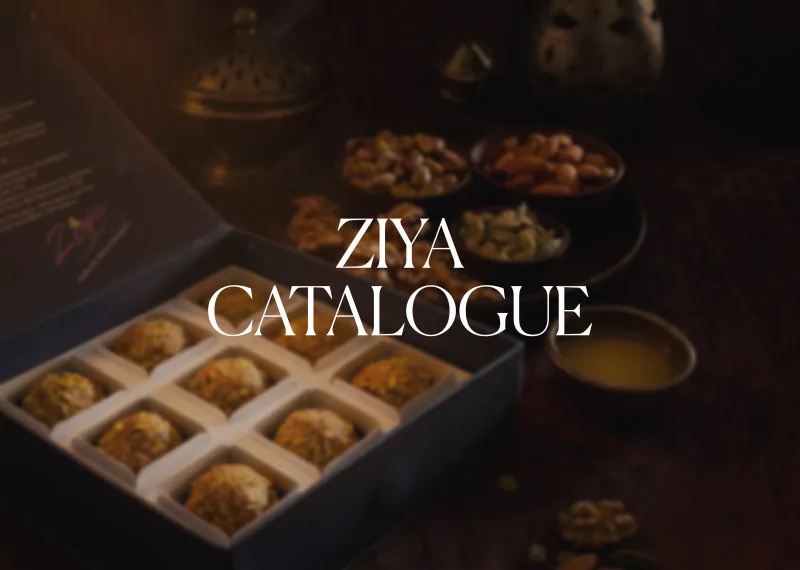 Ziya 2026 catalogue cover